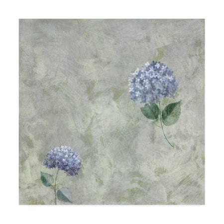 Pablo Esteban 'Blue Flowers Over Gray 1' Canvas Art,35x35